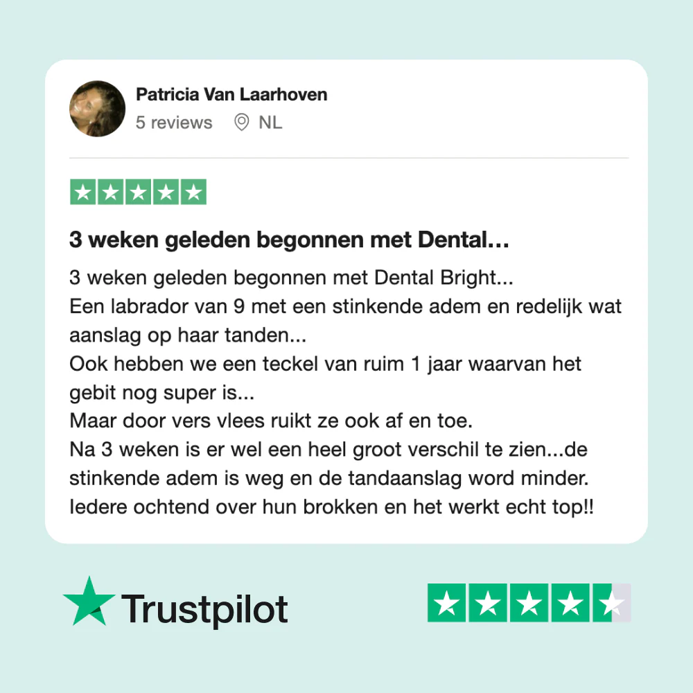 🎁 Dental Bright - Image 10