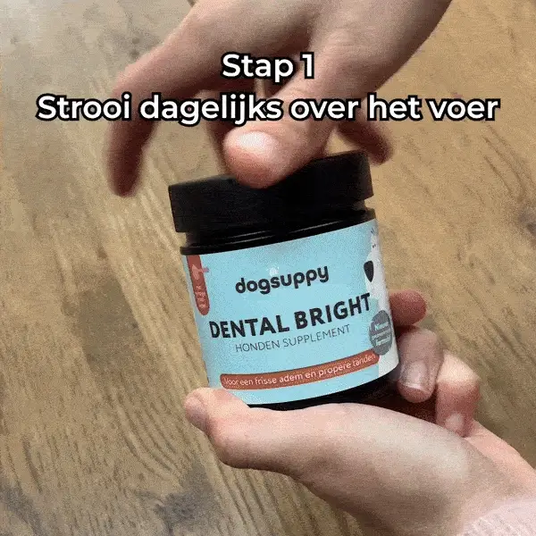 Dental Bright 🌿 60 schepjes - Image 5