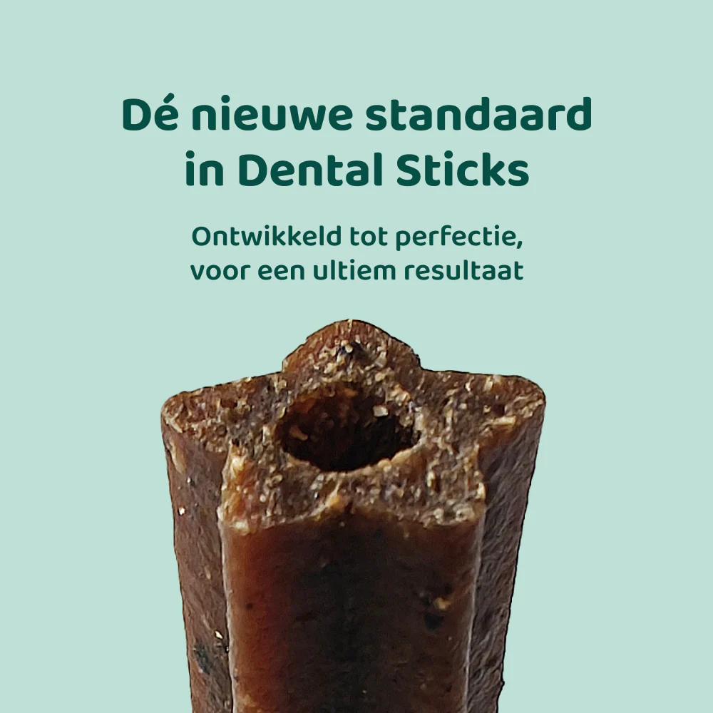 Advanced Chew Dental Sticks 🌿 7 Sticks per zakje - Image 2