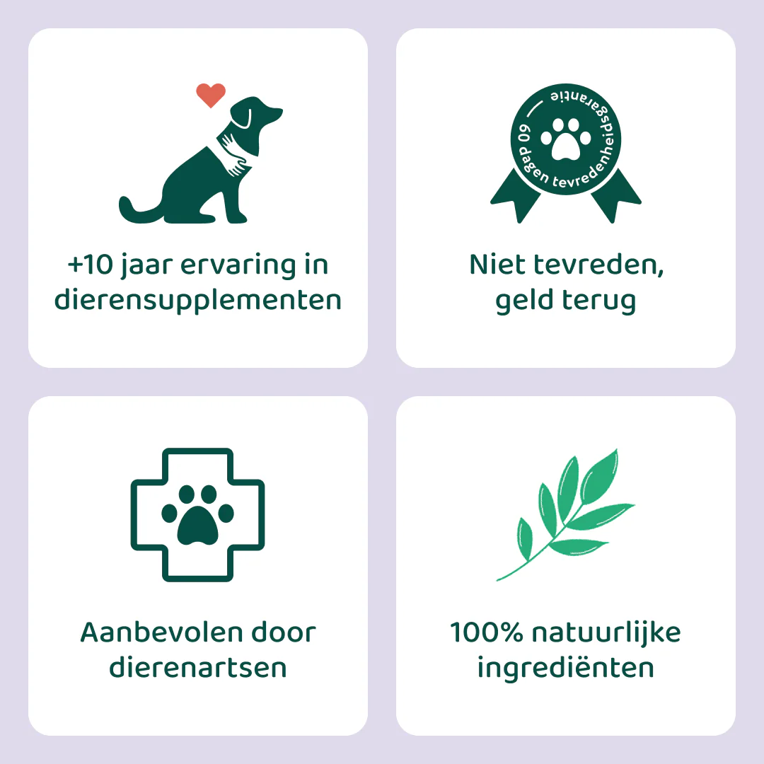 Anaalklieren Probiotica Forte | 100% natuurlijk - Image 3