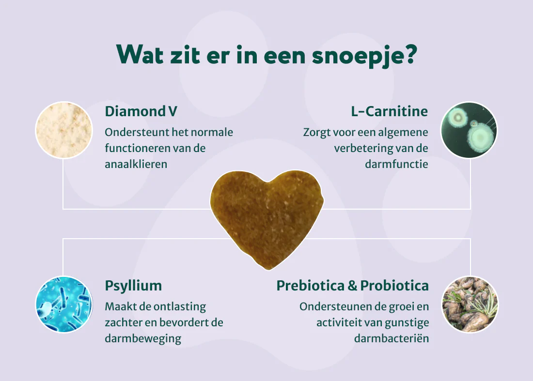 Anaalklieren Probiotica Forte | 100% natuurlijk - Image 6