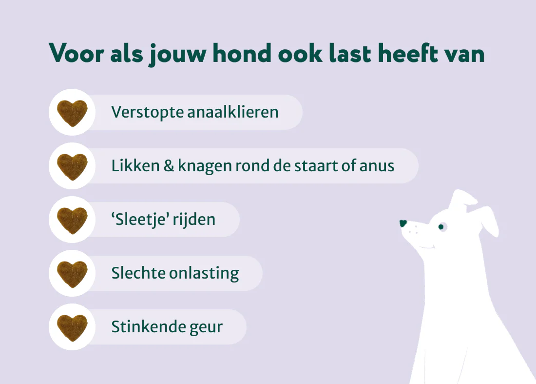 Anaalklieren Probiotica Forte | 100% natuurlijk - Image 7