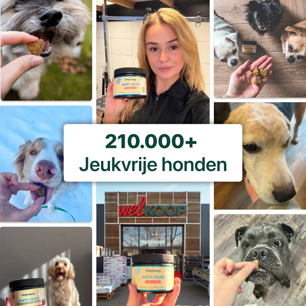 Anti-Jeuk GroteHond⁺ | 90 snoepjes - Image 4
