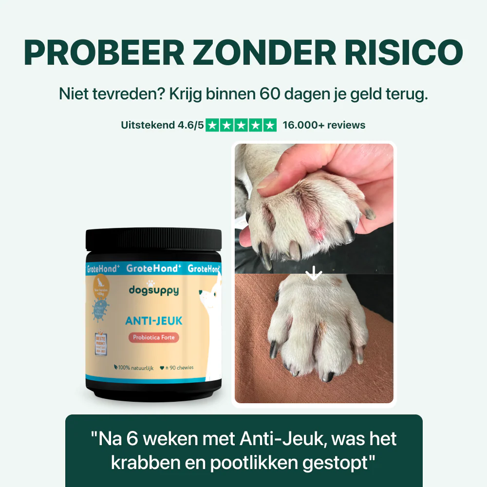 Anti-Jeuk GroteHond⁺ | 90 snoepjes - Image 5