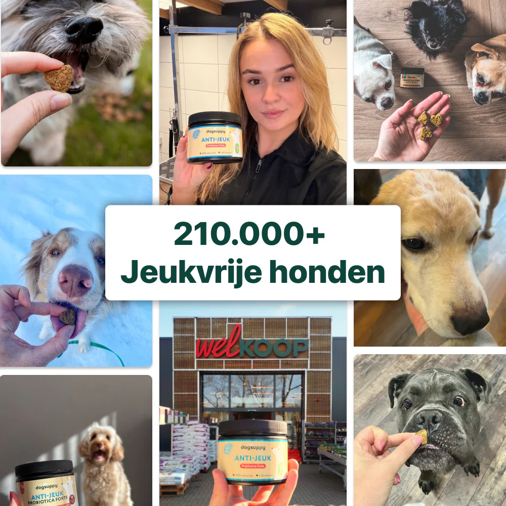 Anti-Jeuk Probiotica Forte | 100% natuurlijk - Image 3