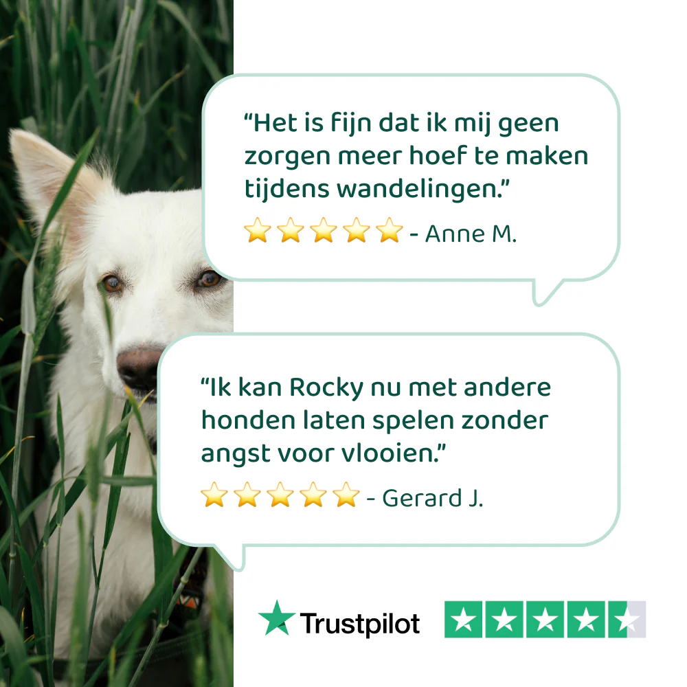 Anti-Parasiet, Vlooi en Teken 🌿 100 ml - Image 4