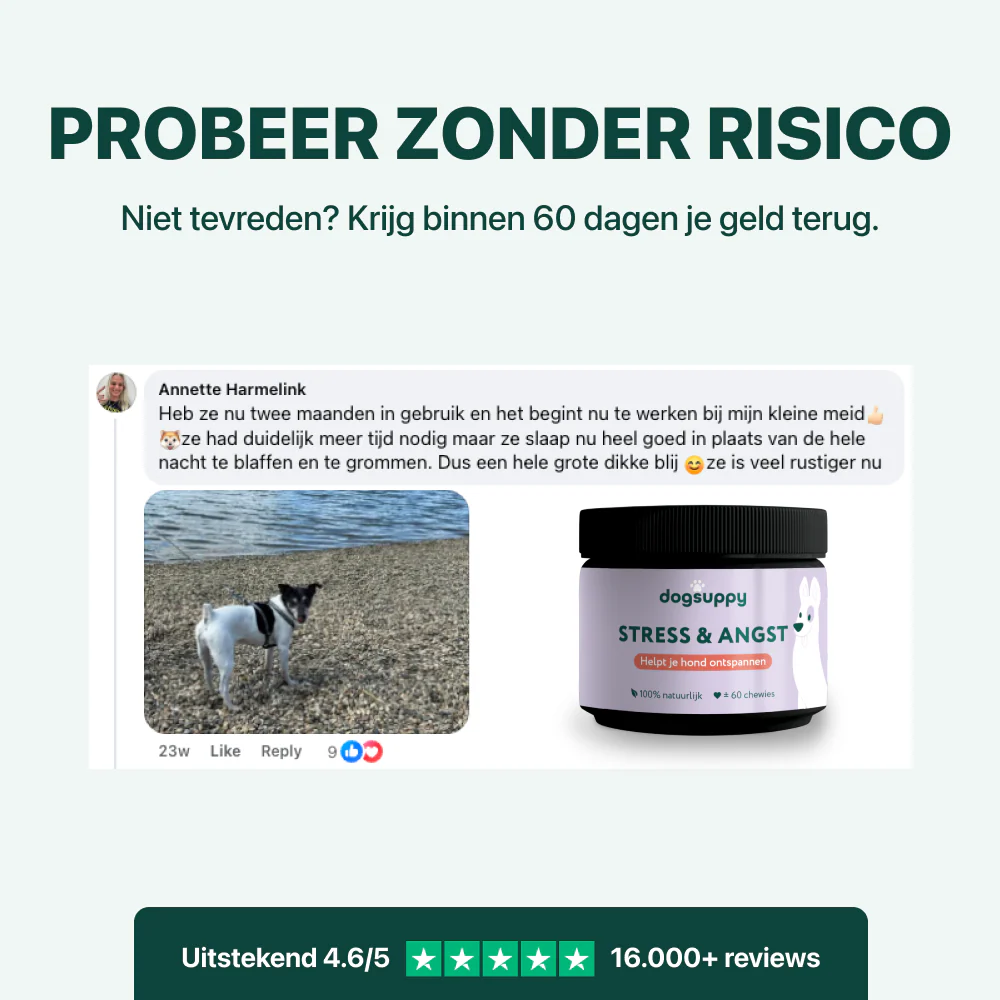 Anti-Stress & Angst | 100% natuurlijk - Image 6