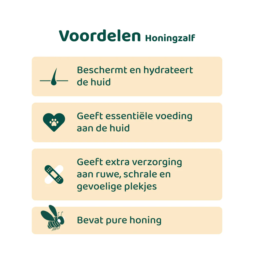 [BUN] Basisverzorging - Image 4