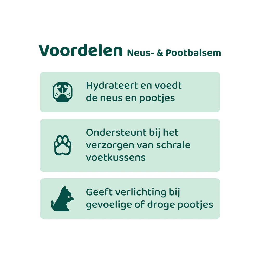 [BUN] Basisverzorging - Image 6