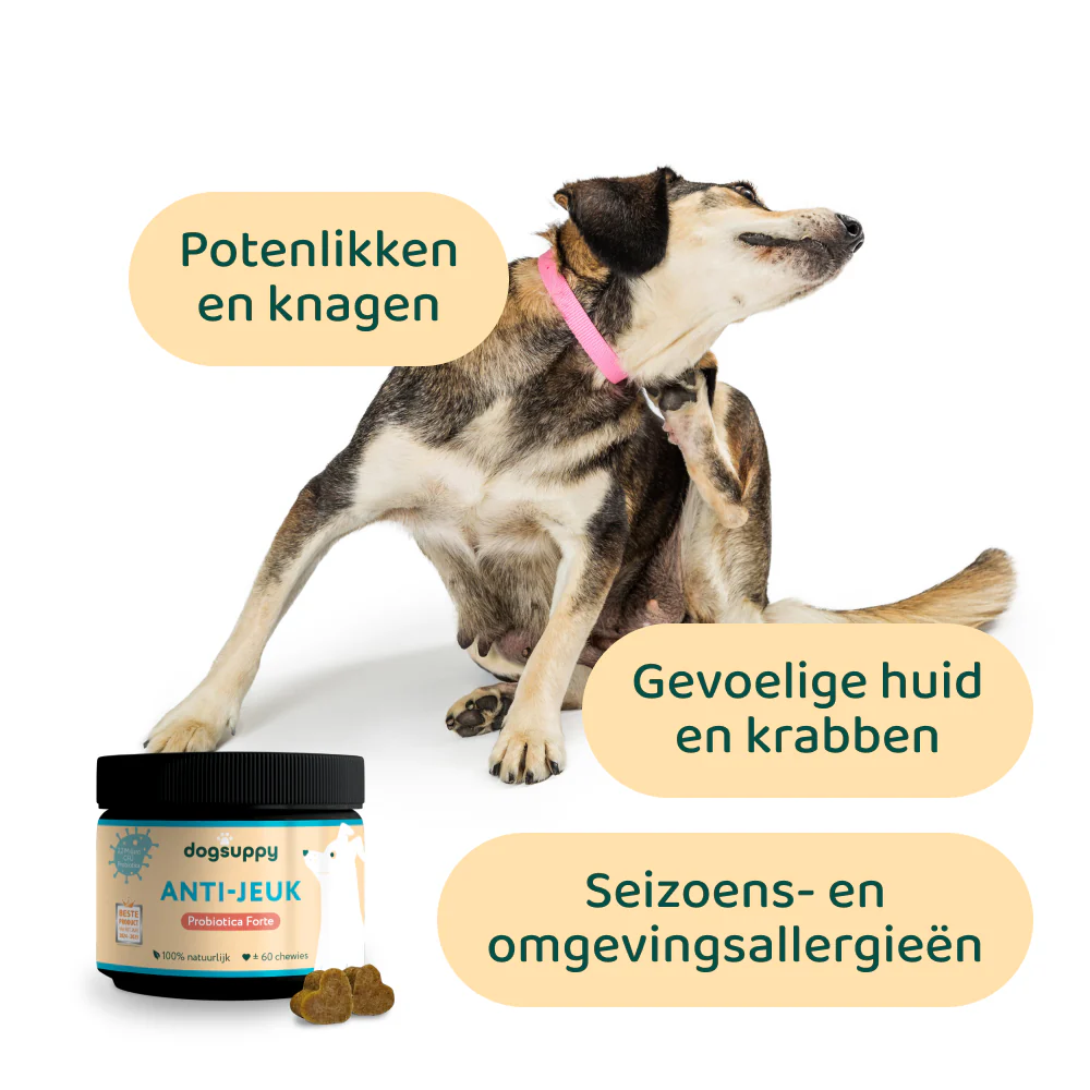 [BUN] Seizoen support - Image 3