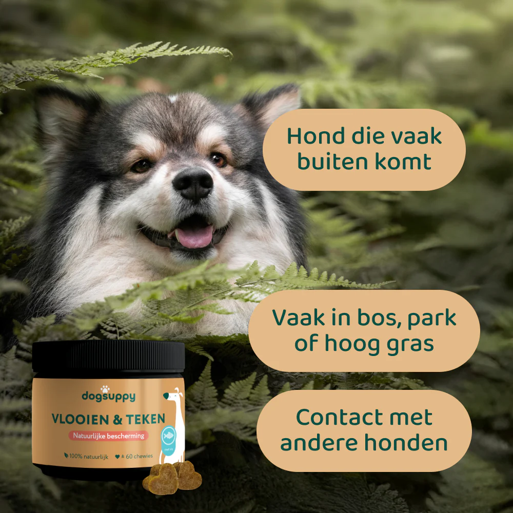 [BUN] Buiten Bundel - Image 5