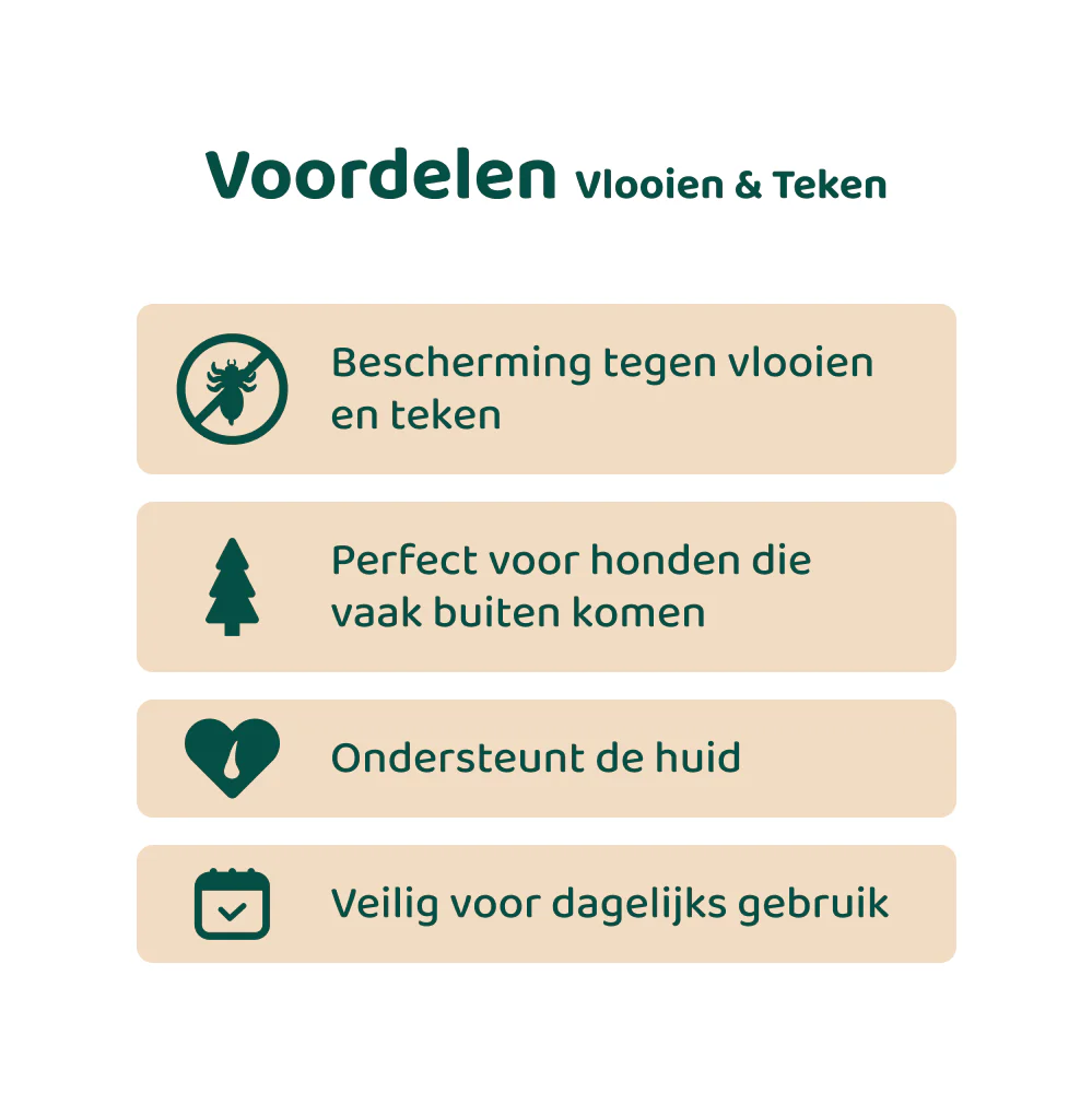 [BUN] Buiten Bundel - Image 6