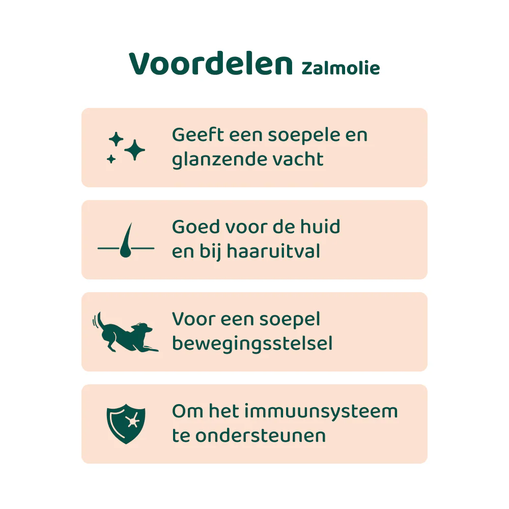 [BUN] Mooie vacht - Image 6