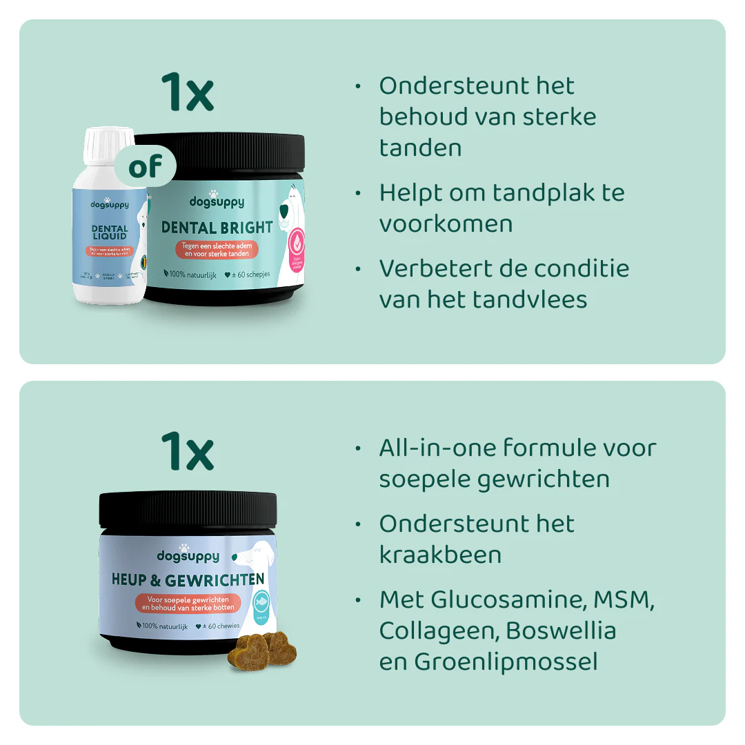 Miniatuur 2