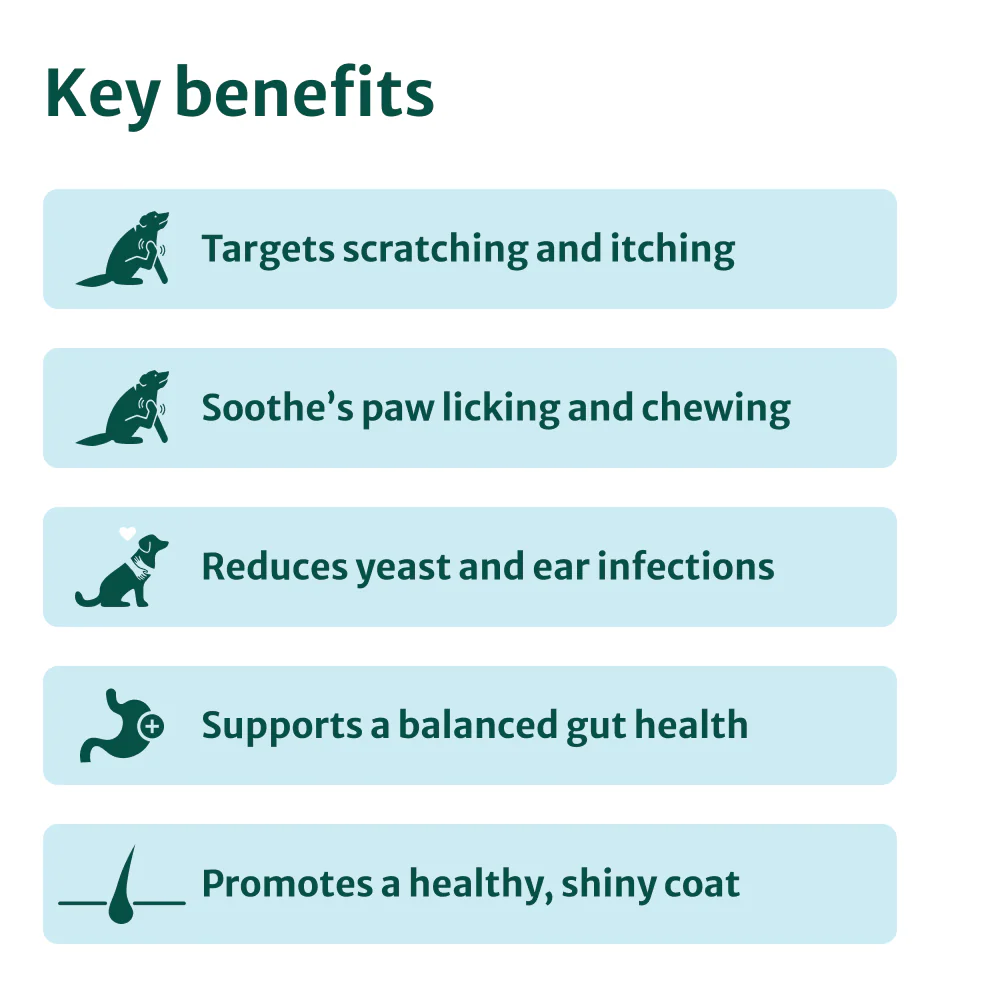 Itch Relief Probiotic Chews | Chicken Flavour | 100% Natural | 60 Soft Chews - Image 4