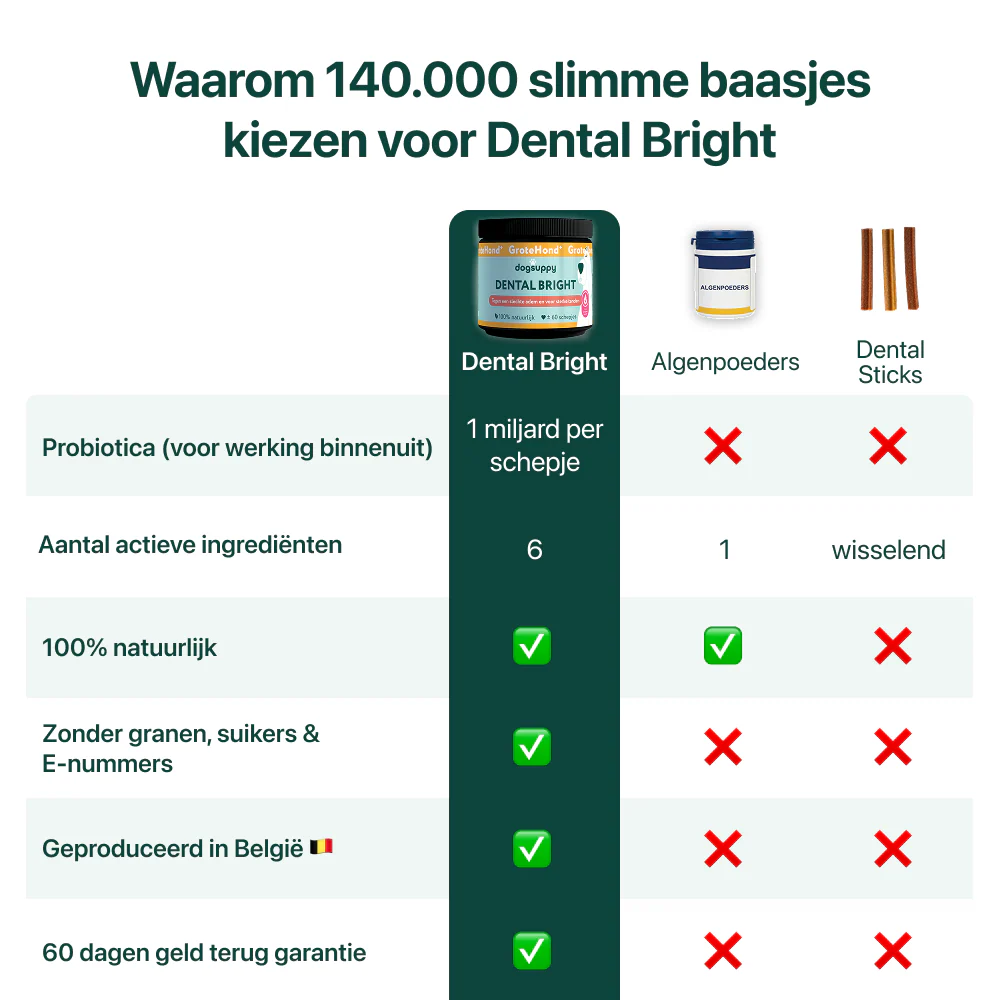 Dental Bright GroteHond⁺ | 60 schepjes - Image 5