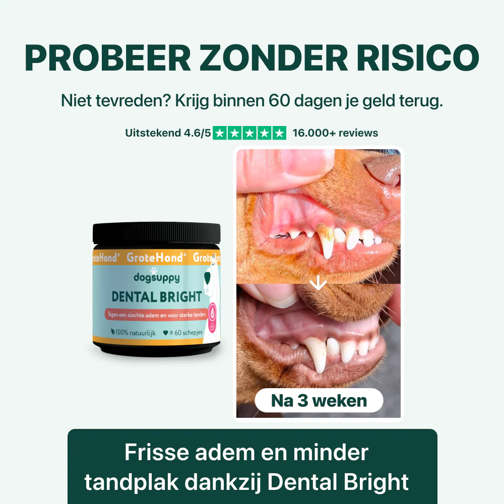 Dental Bright GroteHond⁺ | 60 schepjes - Image 6
