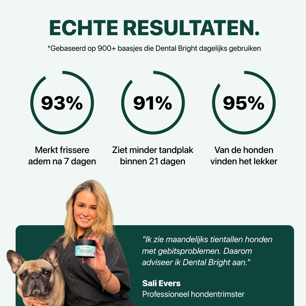 Dental Bright GroteHond⁺ | 60 schepjes - Image 7