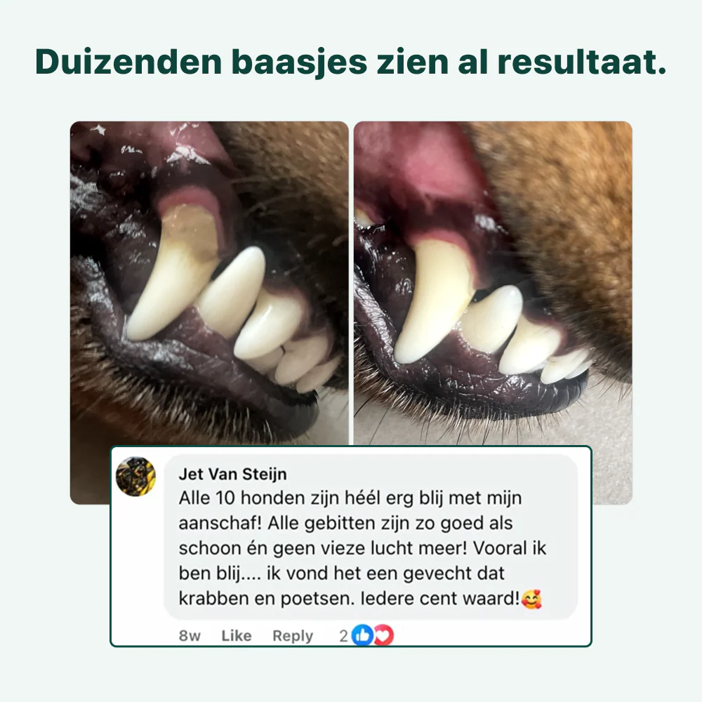 Dental Bright GroteHond⁺ | 60 schepjes - Image 8