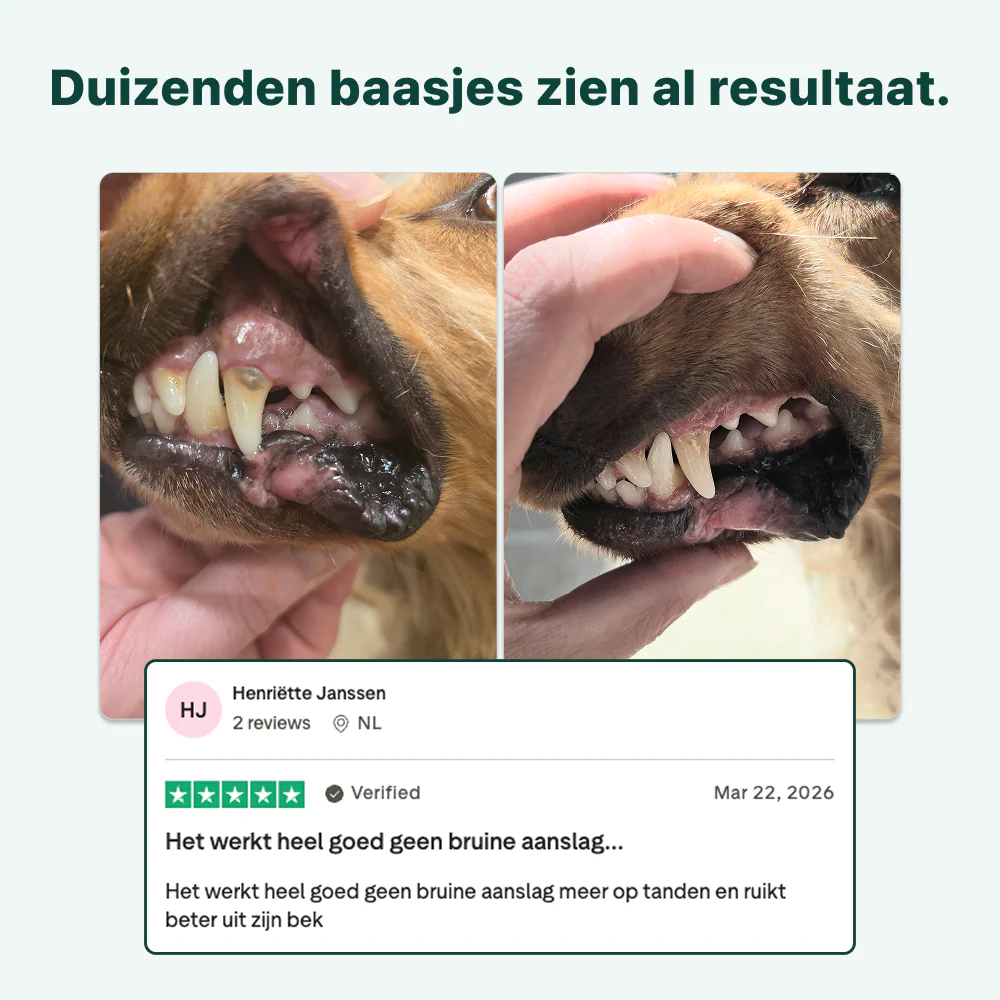 Dental Bright GroteHond⁺ | 60 schepjes - Image 9