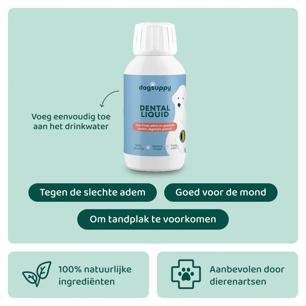Dental Liquid 🌿 250 ml
