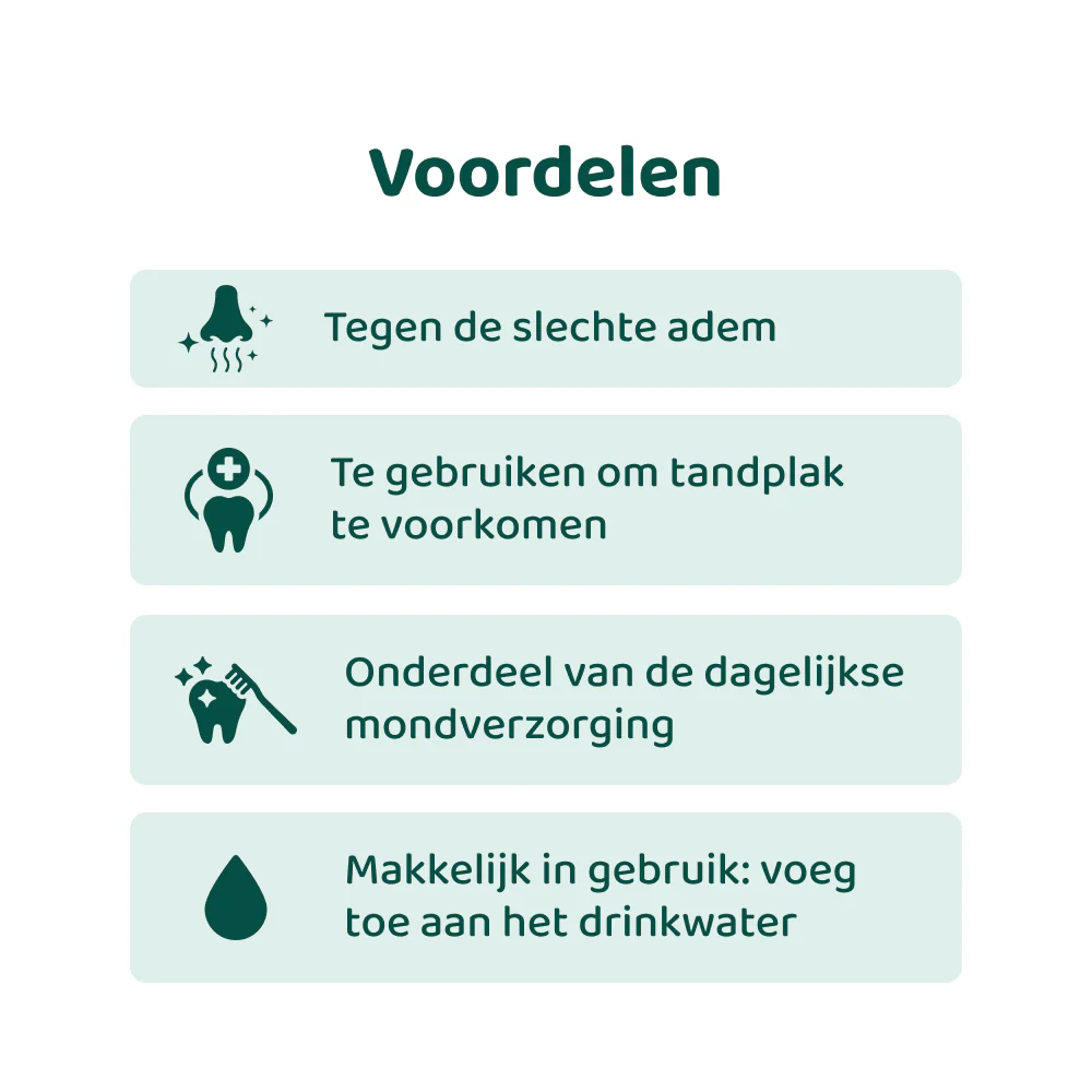 Dental Liquid 🌿 250 ml - Image 3