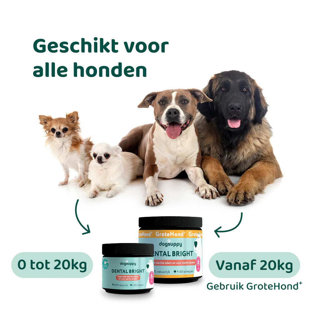 Dental Bright 🌿 60 schepjes - Image 11