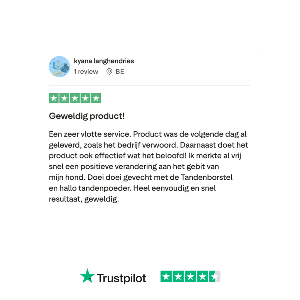 Dental Bright 🌿 60 schepjes - Image 14