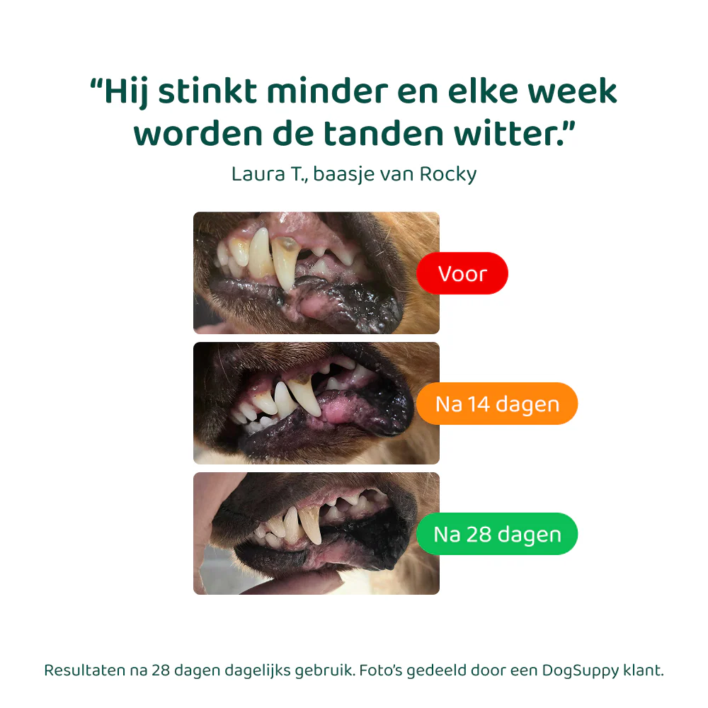 Dental Bright 🌿 60 schepjes - Image 7