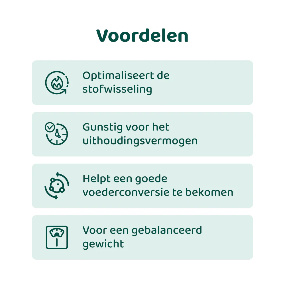 Gezond Gewicht Support 🌿 100 ml - Image 3