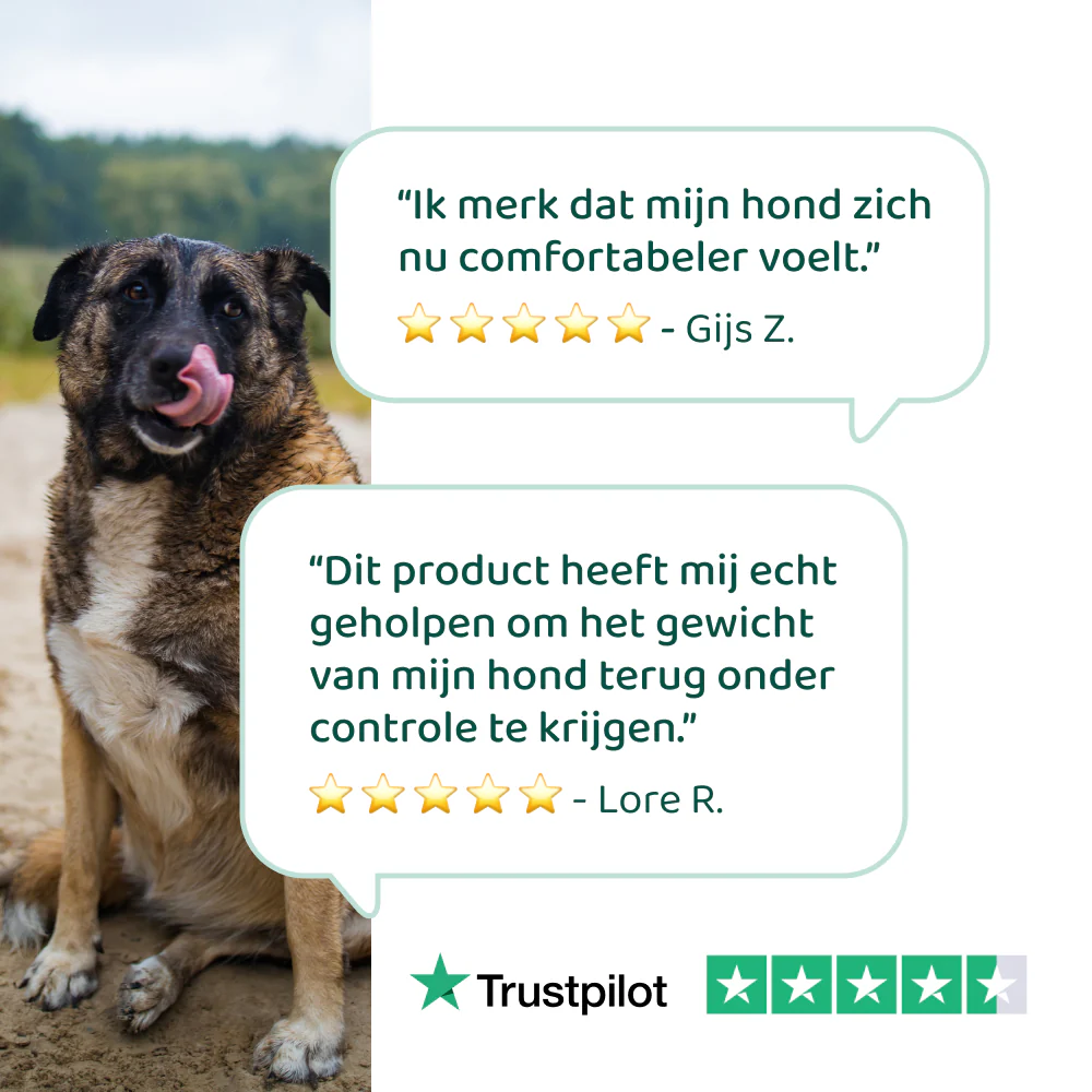 Gezond Gewicht Support 🌿 100 ml - Image 4