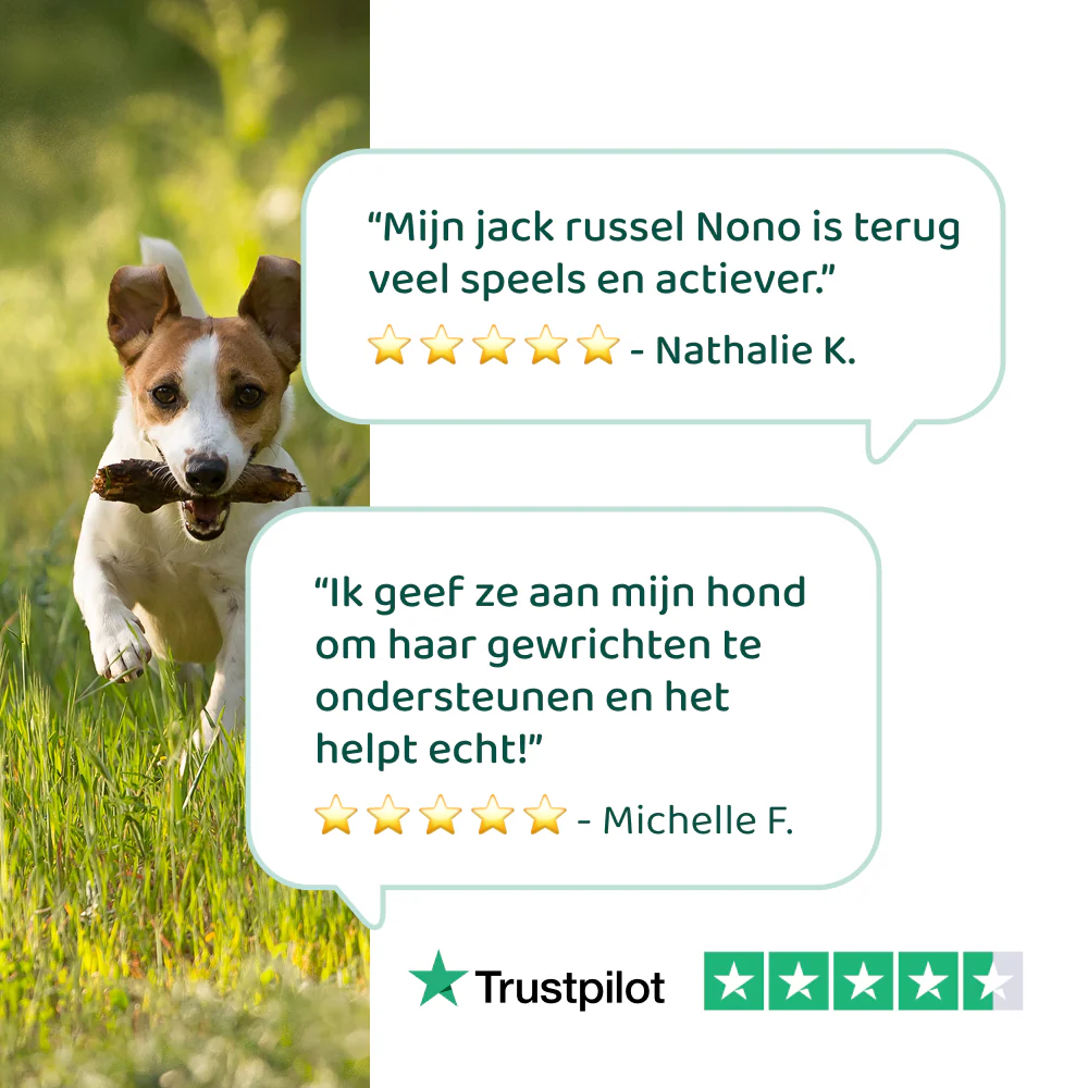 Heup & Gewrichten 🌿 60 snoepjes - Image 4