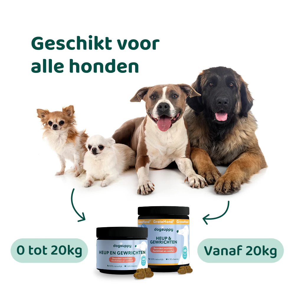 Huid & Vacht 🌿 60 Snoepjes - Image 6