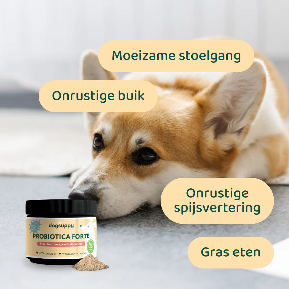 [BUN] Hypoallergeen - Image 3