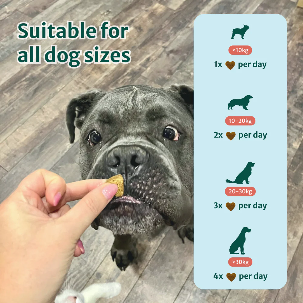Itch Relief Probiotics Forte | 100% Natural | 60 Chews - Image 10