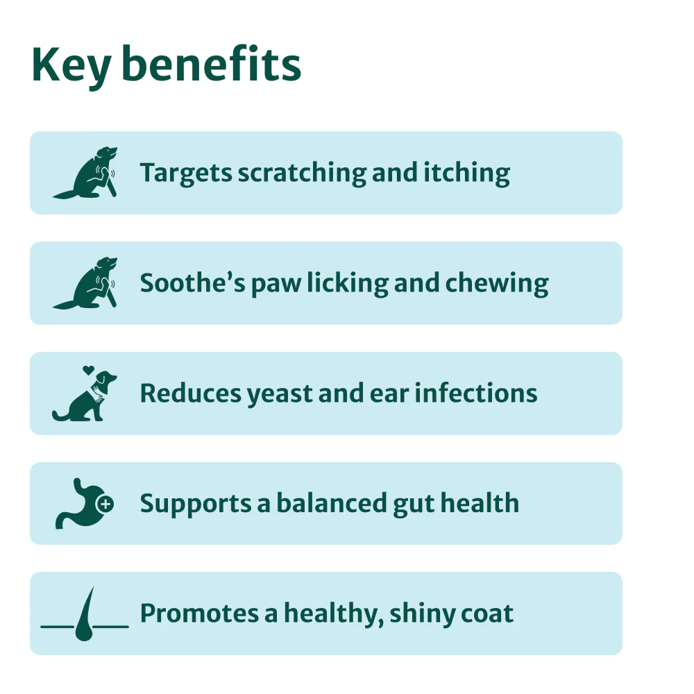 Itch Relief Probiotics Forte | 100% Natural | 60 Chews - Image 6