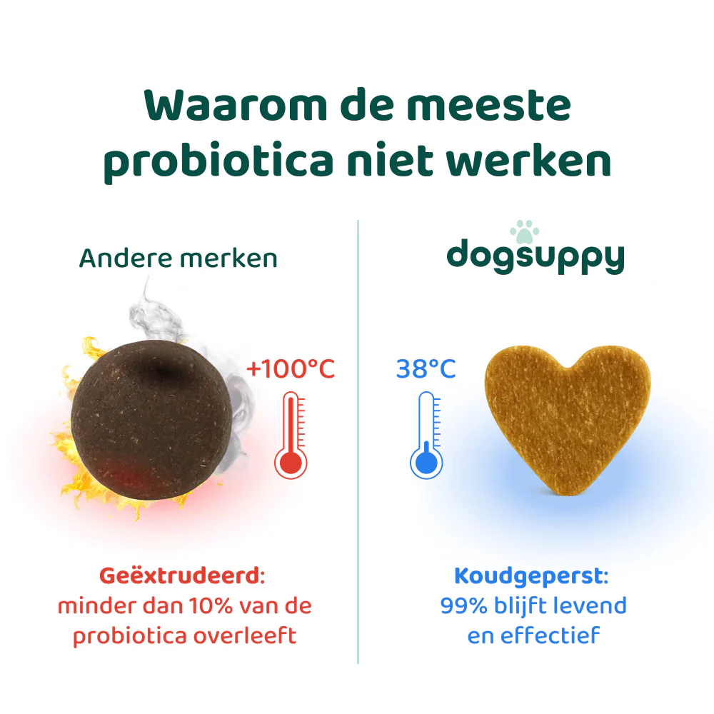 Anti-Jeuk Probiotica 🌿 60 snoepjes - Image 10