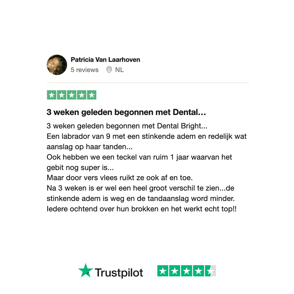 Dental Bright GroteHond⁺ 🌿 60 schepjes - Image 12
