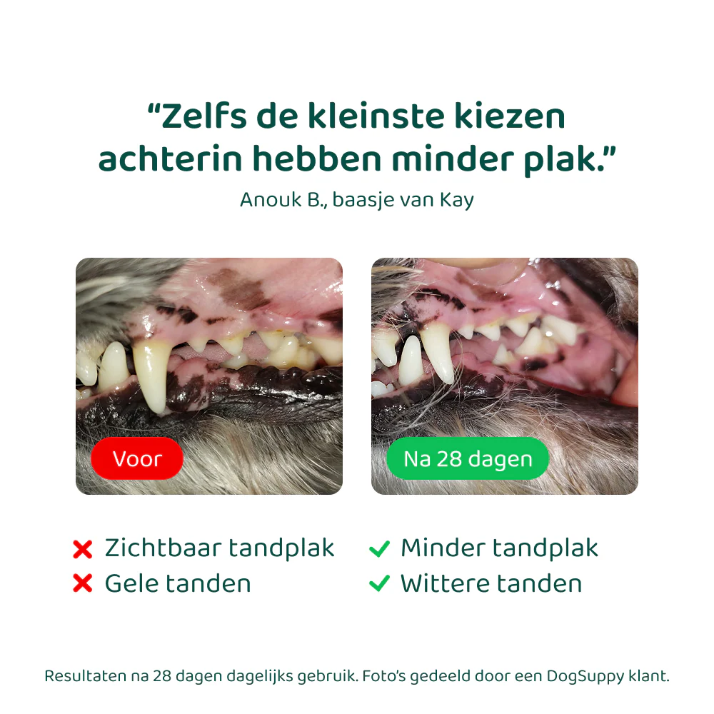 Dental Bright GroteHond⁺ 🌿 60 schepjes - Image 5
