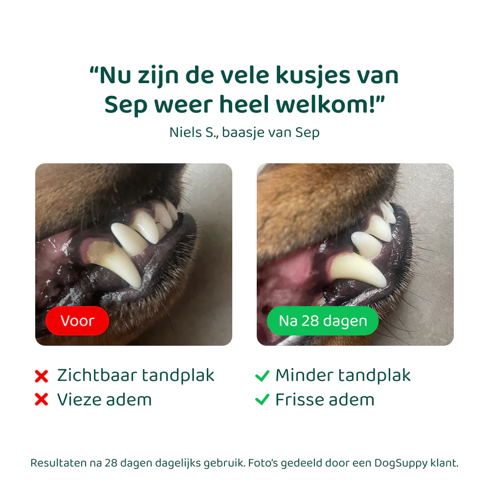 Dental Bright GroteHond⁺ 🌿 60 schepjes - Image 7