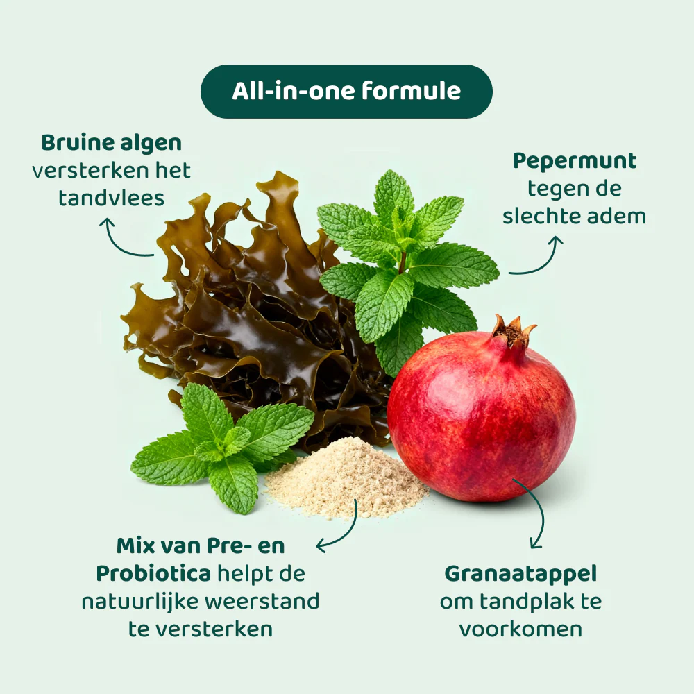 Dental Bright GroteHond⁺ 🌿 60 schepjes - Image 8