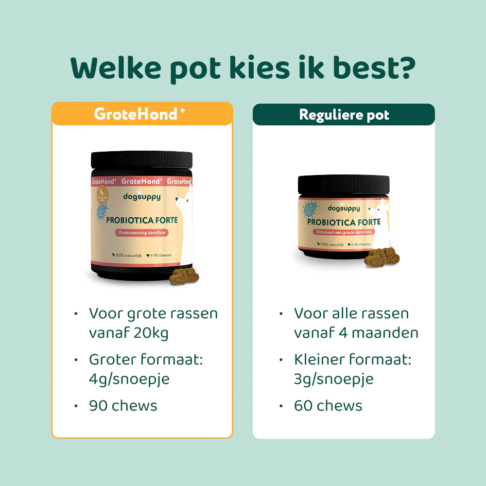 Probiotica Forte GroteHond⁺ 🌿 90 snoepjes - Image 11