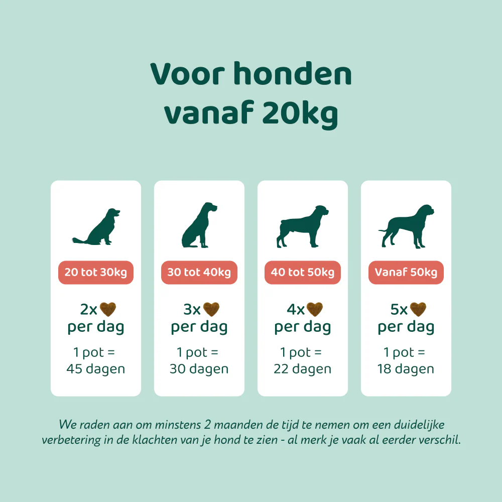 Probiotica Forte GroteHond⁺ 🌿 90 snoepjes - Image 5