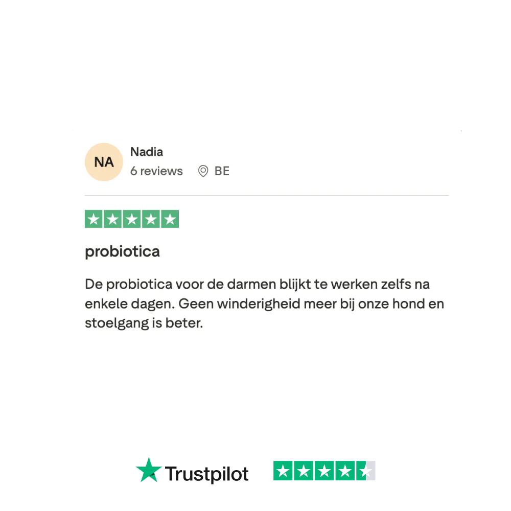 Probiotica Forte GroteHond⁺ 🌿 90 snoepjes - Image 8