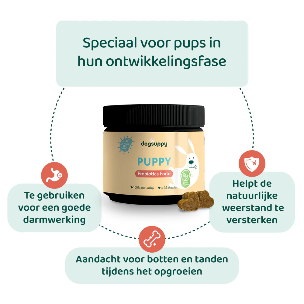 Puppy Probiotica (Zonder vlees) 🌿 45 chews - Image 4