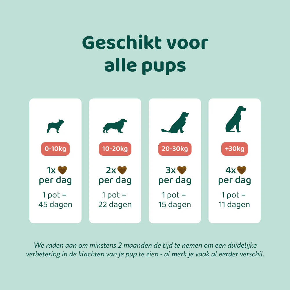 Puppy Probiotica (Zonder vlees) 🌿 45 chews - Image 5