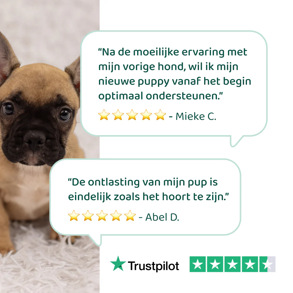 Puppy Probiotica (Zonder vlees) 🌿 45 chews - Image 6