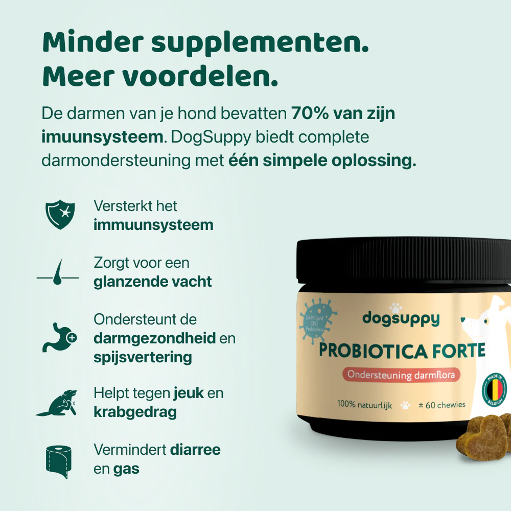 Probiotica Forte | 60 snoepjes - Image 3