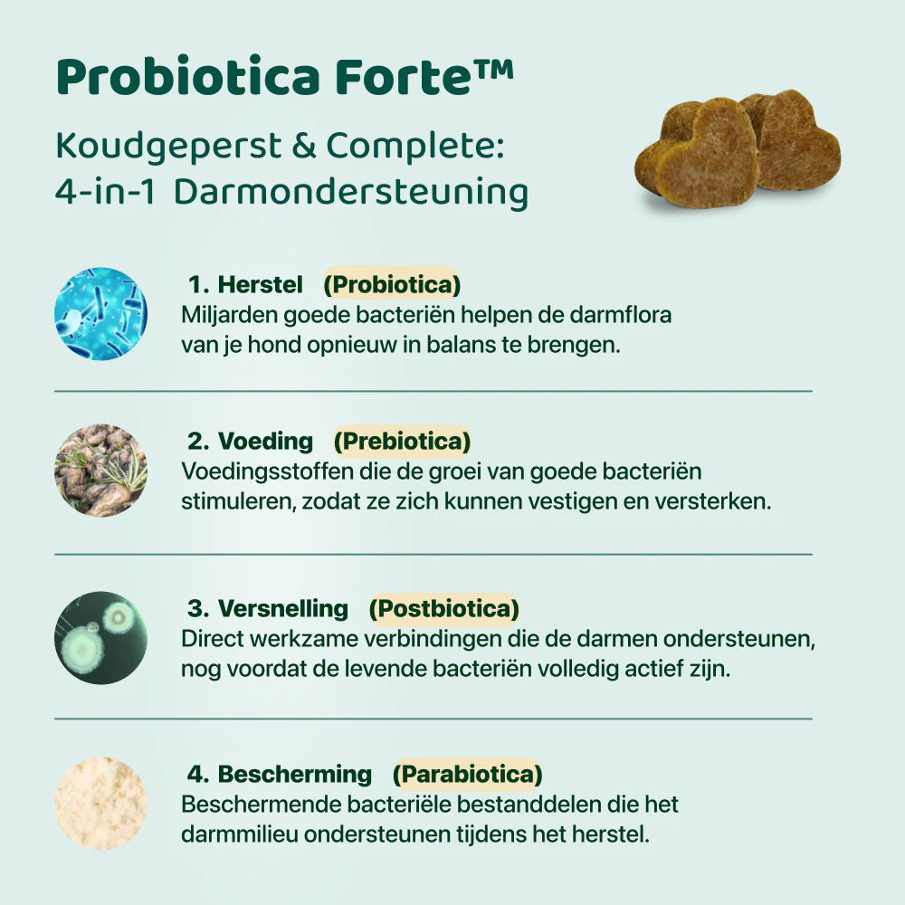 Probiotica Forte | 60 snoepjes - Image 5