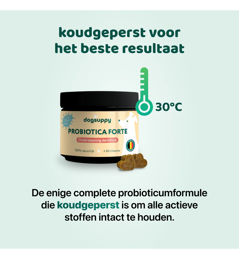 Probiotica Forte | 60 snoepjes - Image 8